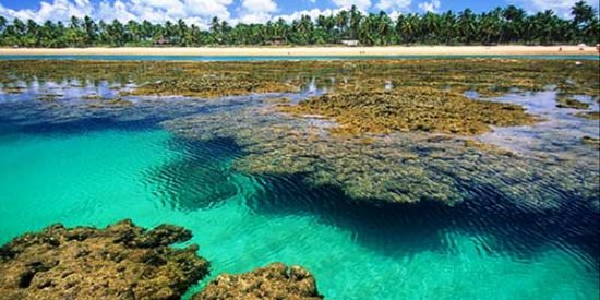 Fonte: Barra Grande